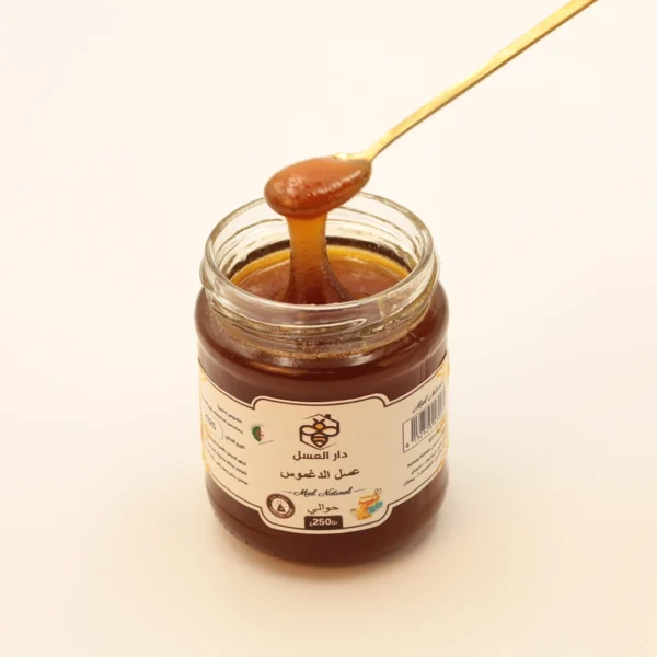 Miel de dagmous <br> عسل الدغموس - Image 2